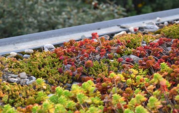 the cost of Chillington green roof installation